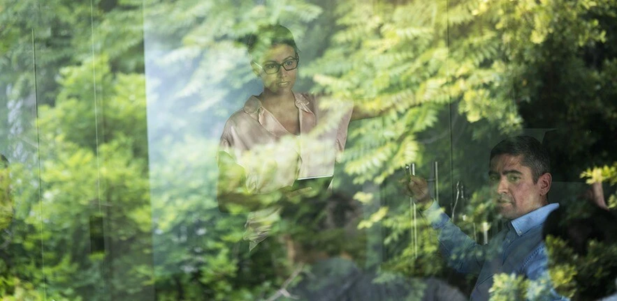 A photo of businesswoman giving presentation seen through glass window. The window reflection shows trees in full bloom.