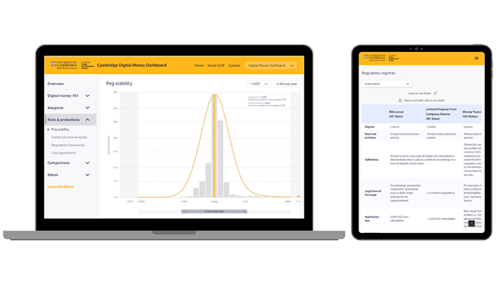 Cambridge Digital Money Dashboard screenshot: Risk and protections.