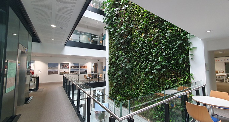 The four-storey high living green wall at the Cambridge Conservation Initiative.