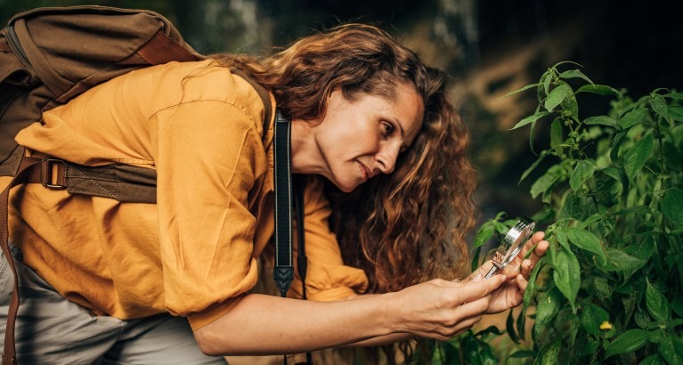 Biologist looking at plants.